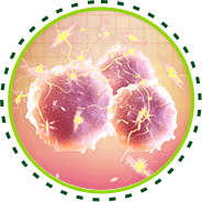 Beneficios Pro Life X