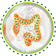 Beneficios Pro Life X