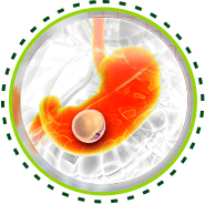 Beneficios Pro Life X